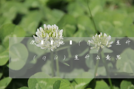 低風險地區(qū)是什么意思(中風險地區(qū)是什么意思)