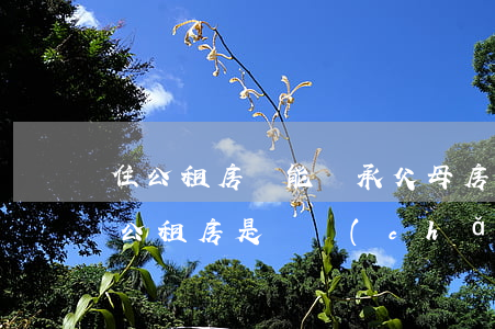 住公租房還能繼承父母房產(chǎn)嗎(公租房是遺產(chǎn)嗎,可以繼承嗎)