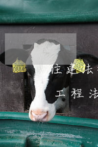 住建法律法規(guī)匯編電子版(建筑工程法律法規(guī)匯編)