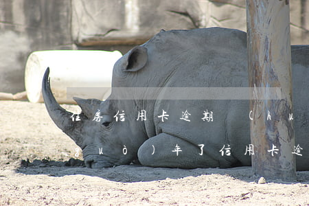 住房信用卡逾期會(huì)上門嗎(快過(guò)年了信用卡逾期會(huì)上門嗎)