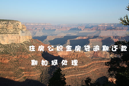 住房公积金房贷逾期还款(住房公积金还贷逾期如何处理)
