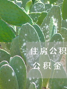 住房公积金法院可以查封吗(法院能冻结住房公积金)