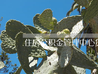 住房公积金管理中心贷款项目合作协议
