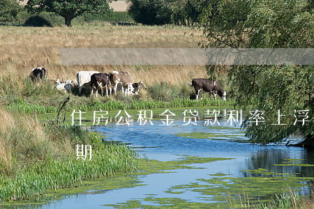 住房公积金贷款利率上浮（公积金利率上浮逾期）