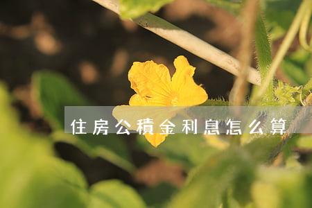 住房公積金利息怎么算