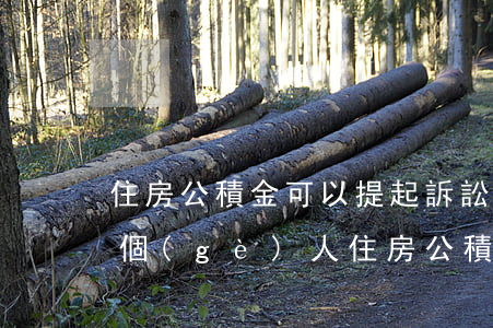 住房公積金可以提起訴訟嗎(法院起訴能處理個(gè)人住房公積金嗎?)