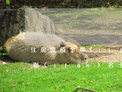 住房公積金聯(lián)名卡(住房公積金聯(lián)名卡簽約是什么意思)