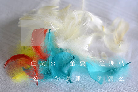 住房公積金要開逾期情況說(shuō)明(公積金逾期證明怎么開)