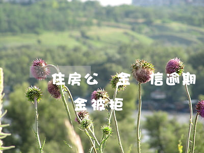 住房公積金誠信逾期貸款(征信有一次逾期公積金被拒)
