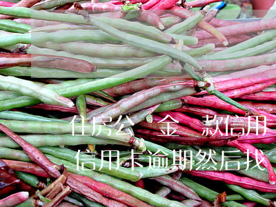 住房公積金貸款信用卡逾期(住房公積金貸款信用卡逾期然后找別人照相)