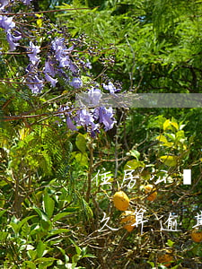 住房公積金貸款賬戶逾期(住房公積金貸款多久算逾期)