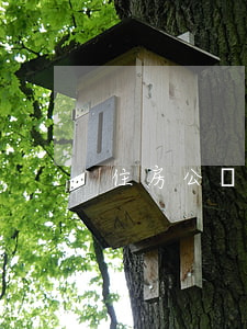 住房公積金貸款逾期6天(公積金逾期兩天)