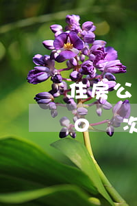 住房公積金貸款逾期8次(住房公積金逾期10幾次怎么辦)