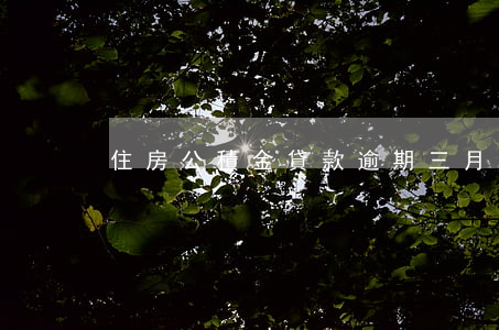 住房公積金貸款逾期三月
