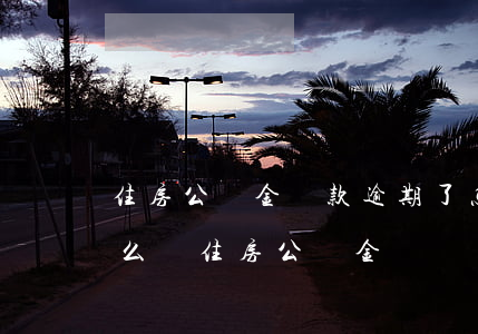 住房公積金貸款逾期了怎么辦（信用卡逾期怎么貸住房公積金）