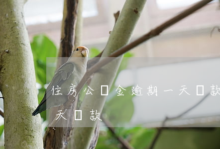 住房公積金逾期一天還款(住房公積金逾期一天還款)