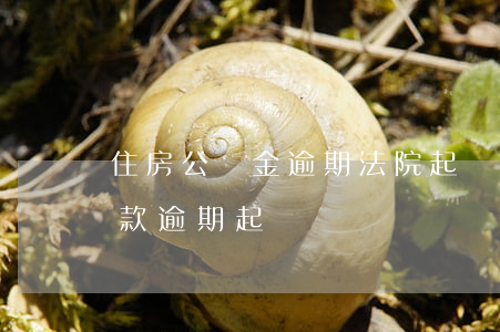 住房公積金逾期法院起訴流程(住房公積金貸款逾期起訴)