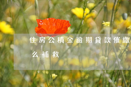 住房公積金逾期貸款催繳(公積金貸款逾期怎么補救)