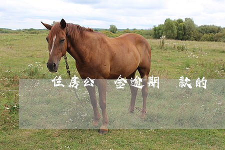 住房公積金逾期貸款的訴訟