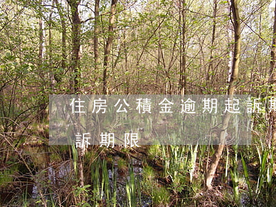住房公積金逾期起訴期限(住房公積金逾期起訴期限)