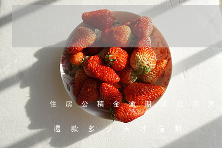 住房公積金逾期還款四天(住房公積金未及時還款多少天才逾期)
