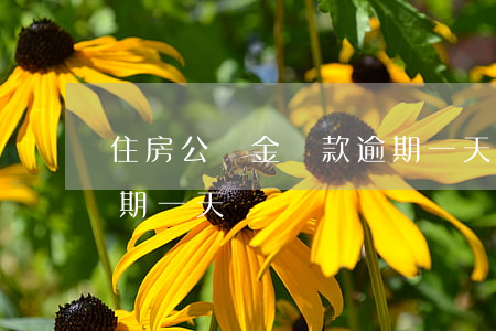 住房公積金還款逾期一天(住房公積金還款逾期一天)