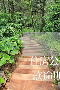 住房公積金還款逾期三次(住房公積金貸款還款逾期一天)
