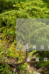 住房公積金還款逾期了(逾期還清后可以公積金貸款嗎)