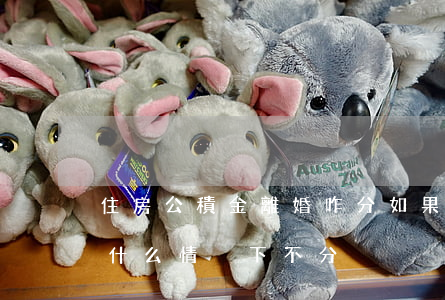 住房公積金離婚咋分(如果離婚住房公積金在什么情況下不分)