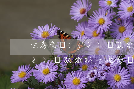住房商業(yè)貸款逾期怎么辦(商業(yè)貸款逾期一次影響大嗎)