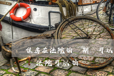 住房在法院拍賣期間可以出租嗎(房屋出租期間法院可以拍賣嗎)