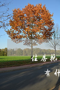 住房抵押貸款逾期了(房子抵押貸款逾期多久會有什么后果)