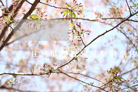 住房抵押貸款逾期利息(住房抵押貸款逾期利息)