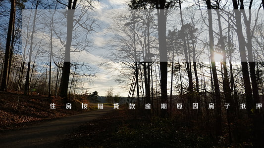 住房按揭貸款逾期原因(房子抵押貸款逾期)