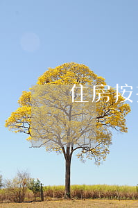 住房按揭逾期風險應對
