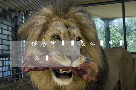 住房申請書怎么寫(申請保障性住房申請書怎么寫)