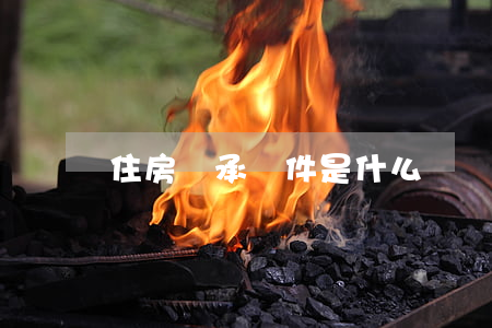 住房繼承條件是什么