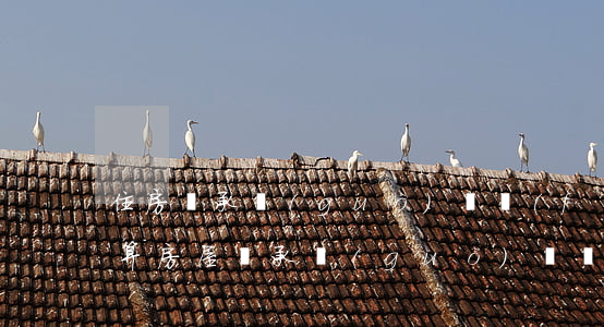 住房繼承過(guò)戶費(fèi)怎么算(房屋繼承過(guò)戶費(fèi)用明細(xì))