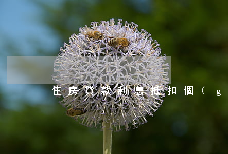 住房貸款利息抵扣個(gè)稅怎么抵扣