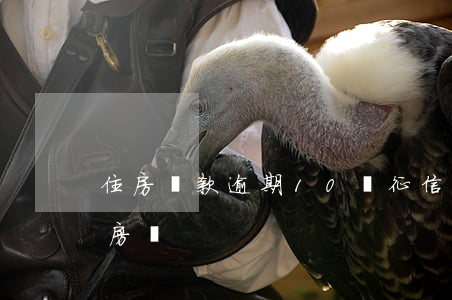 住房貸款逾期10愛 征信11次逾期怎么辦房貸