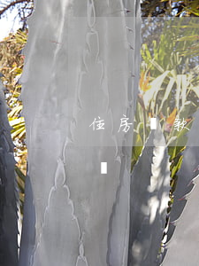住房貸款逾期3天怎么辦(房貸逾期三天怎么辦)