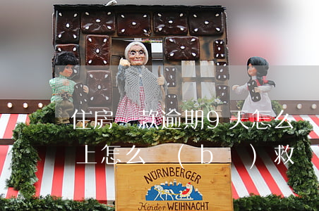 住房貸款逾期9天怎么辦(貸款逾期90天以上怎么補(bǔ)救)