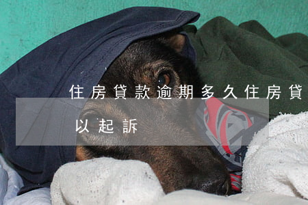 住房貸款逾期多久(住房貸款逾期多久銀行可以起訴)