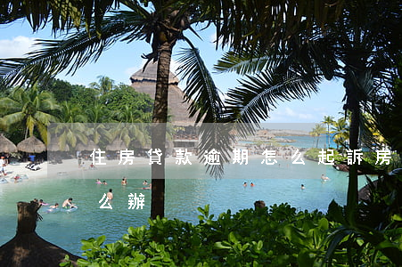 住房貸款逾期怎么起訴(房貸款逾期被起訴怎么辦)
