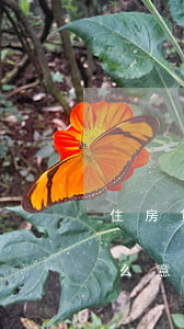 住房貸款逾期是什么意思(住房貸款逾期是什么意思)