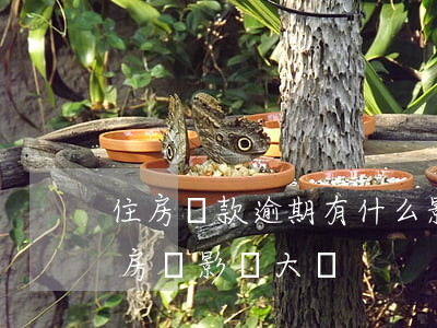 住房貸款逾期有什么影響(逾期對(duì)房貸影響大嗎)