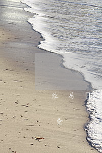 住房貸款逾期記錄-住房貸款逾期記錄怎么查