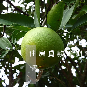 住房貸款逾期還款催告函(房貸逾期催收通知書)