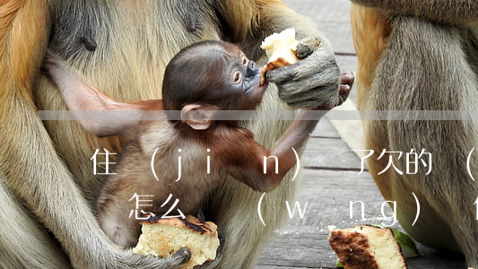 住監(jiān)獄了欠的網(wǎng)貸怎么辦(網(wǎng)貸借款人進(jìn)監(jiān)獄了怎么辦)