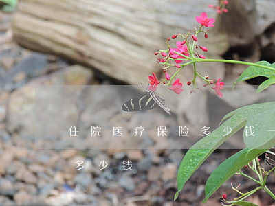 住院医疗保险多少钱一年(住院医疗险一年交多少钱)